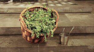 Korb mit Palm und Weihwasser